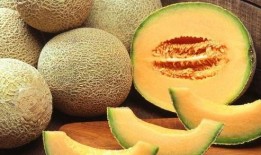 吃爷爷哈密瓜视频大全免费观看,哈密瓜美食盛宴，爷爷的甜蜜回忆